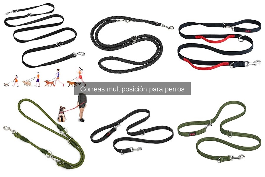 ¿Qué son las correas multiposición para perros?