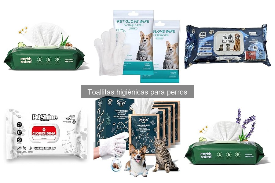 ¿Qué son las toallitas higiénicas para perros? Guía básica