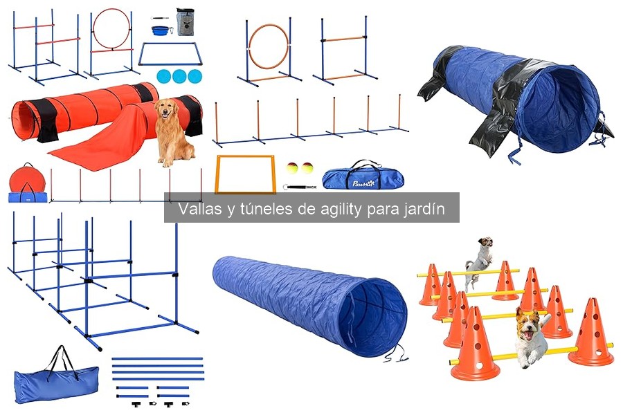 ¿Qué son las vallas y túneles de agility para perros?