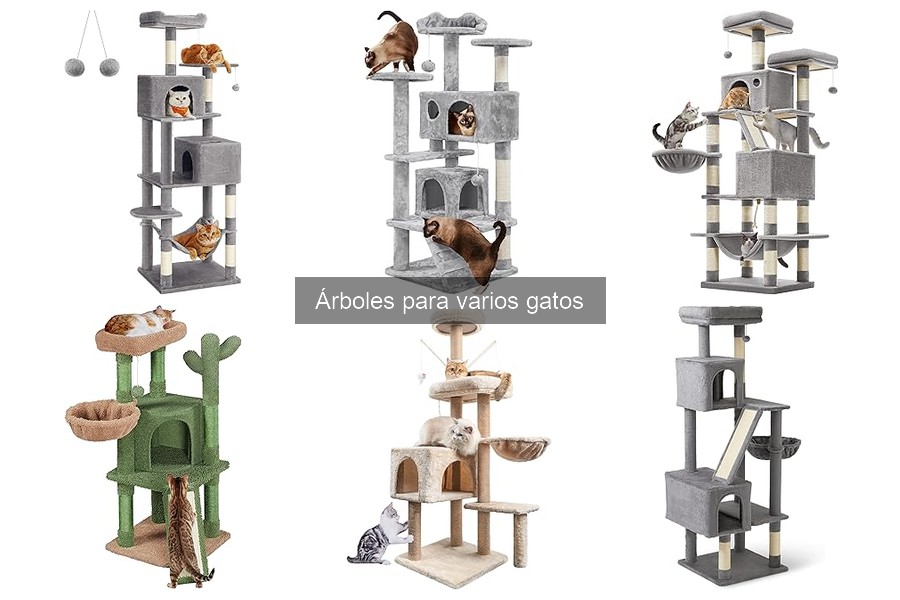 ¿Qué son los árboles para gatos? Descubre sus beneficios