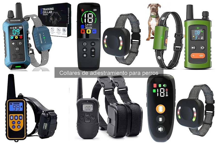 ¿Qué son los collares de adiestramiento para perros?