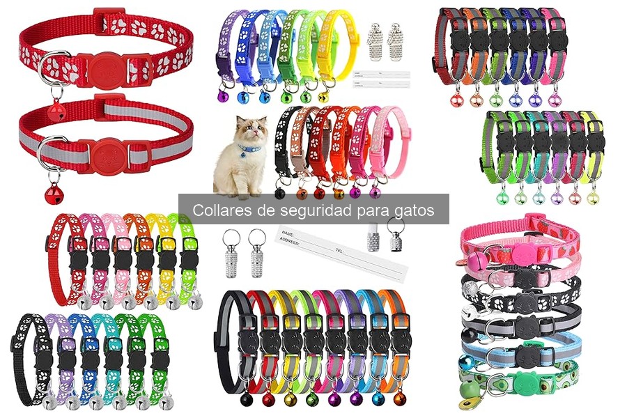 ¿Qué son los collares de seguridad para gatos? Características y beneficios