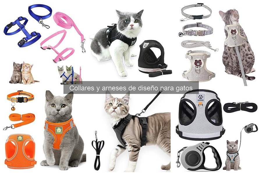 ¿Qué son los collares y arneses de diseño para gatos?