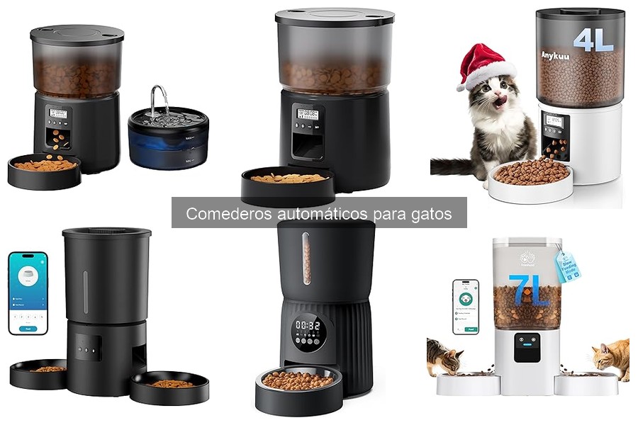 ¿Qué son los comederos automáticos para gatos? Guía básica