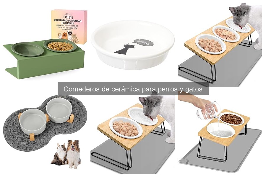 ¿Qué son los comederos de cerámica para perros y gatos?