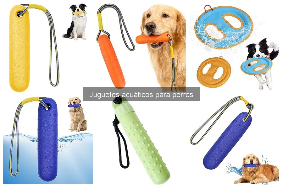 ¿Qué son los juguetes acuáticos para perros? Descubre sus beneficios