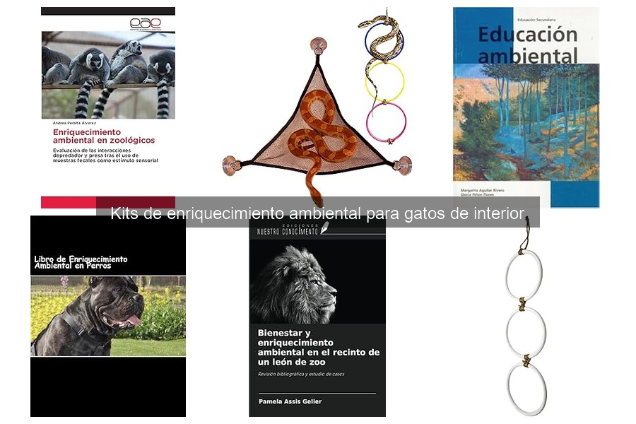 ¿Qué son los kits de enriquecimiento ambiental para gatos?