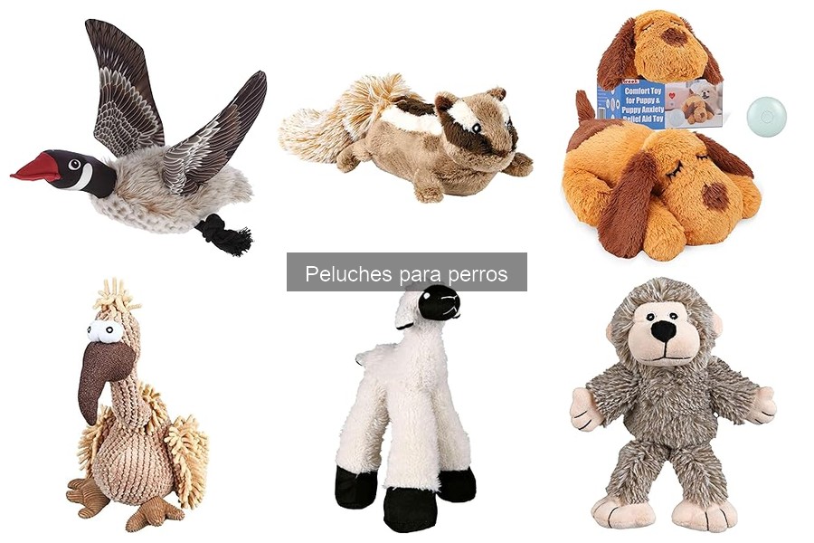 ¿Qué son los peluches para perros? Beneficios y características