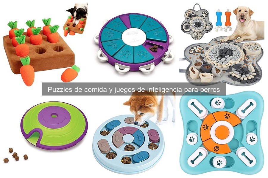 ¿Qué son los puzzles de comida para perros? Guía básica