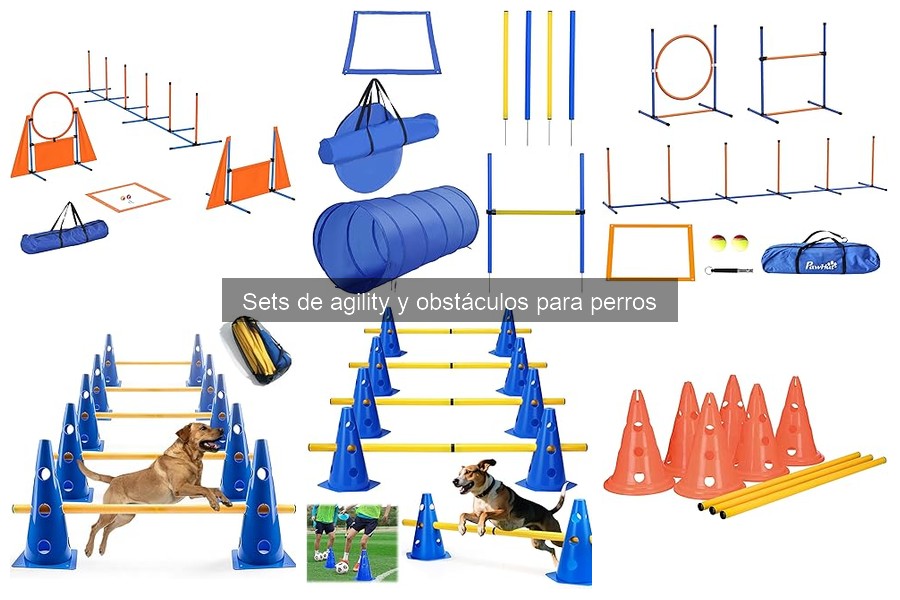 ¿Qué son los sets de agility para perros? Descubre sus componentes