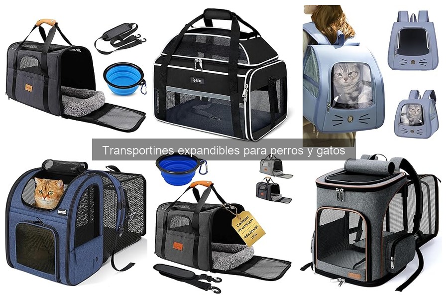 Qué son los transportines expandibles para perros y gatos