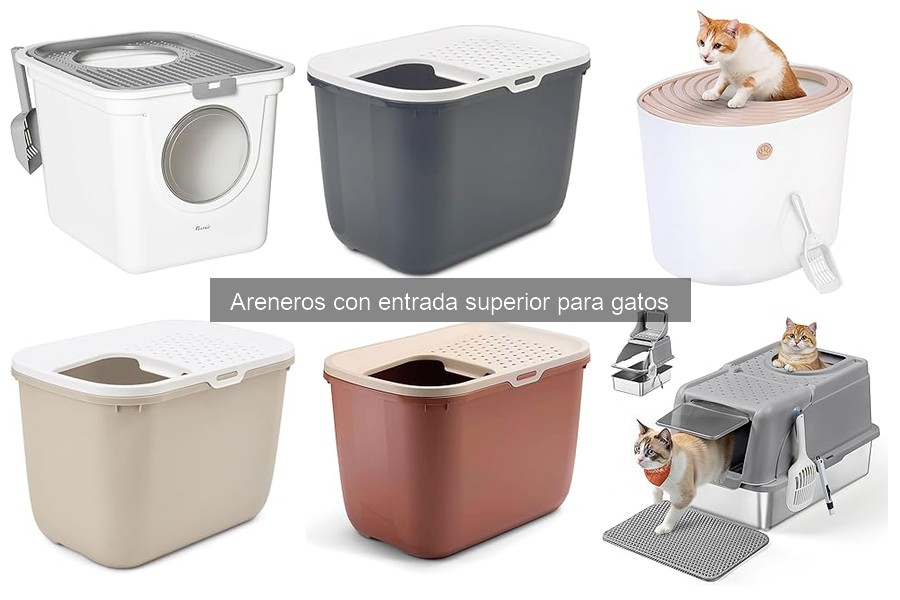 ¿Qué tamaño de arenero con entrada superior elegir para mi gato?