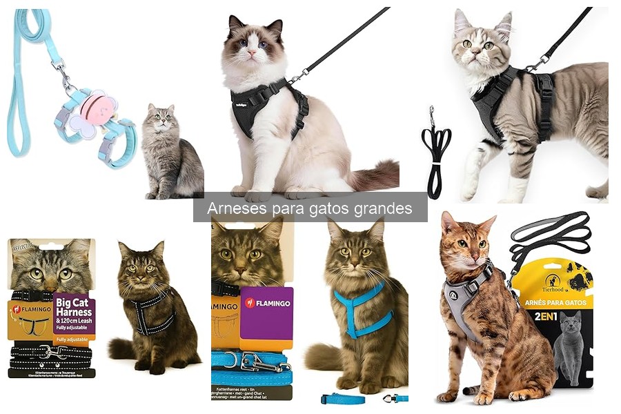 ¿Qué tamaño de arnés necesito para mi gato grande?
