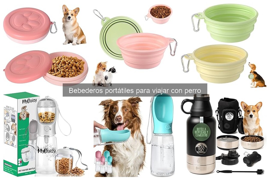 ¿Qué tamaño de bebedero portátil elegir para tu perro?