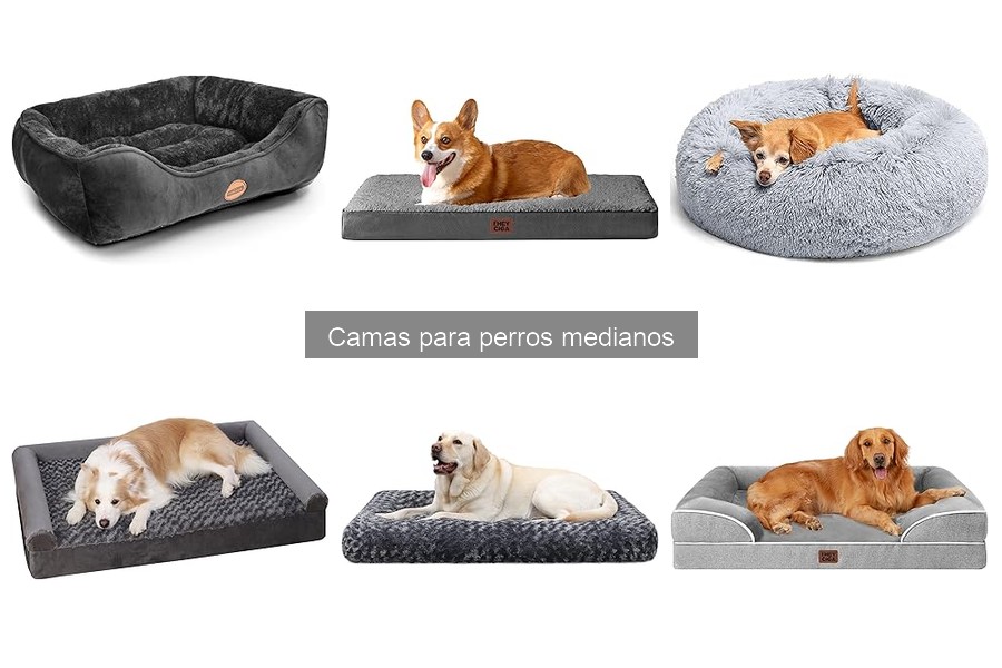¿Qué tamaño de cama es ideal para tu perro mediano?