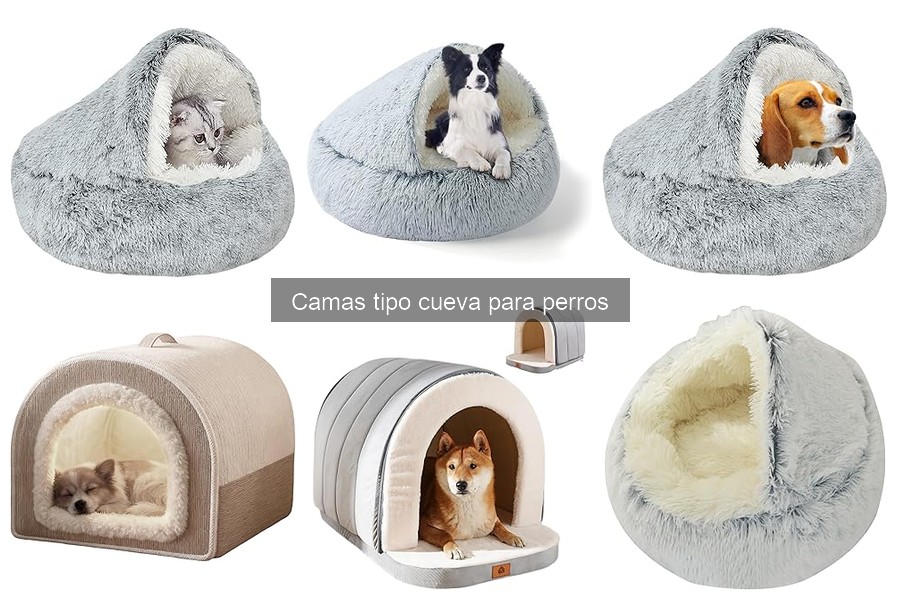 ¿Qué tamaño de cama tipo cueva necesita tu perro?