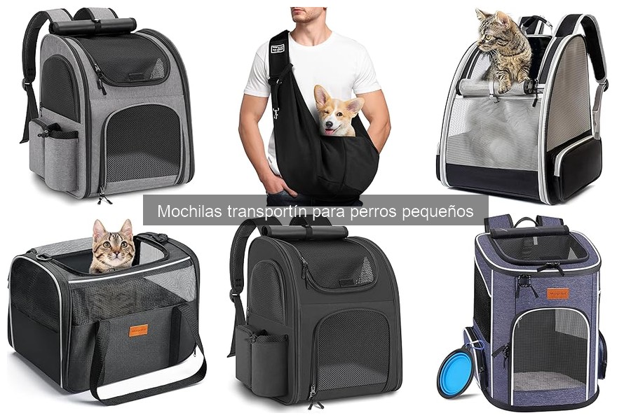 ¿Qué tamaño de mochila transportín para mi perro pequeño?