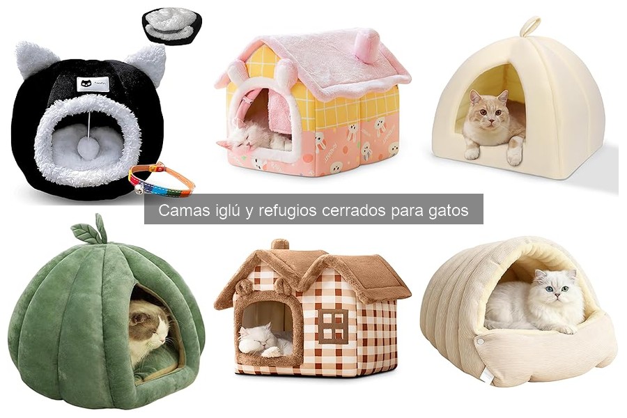 Razones por las que tu gato no usa su cama iglú