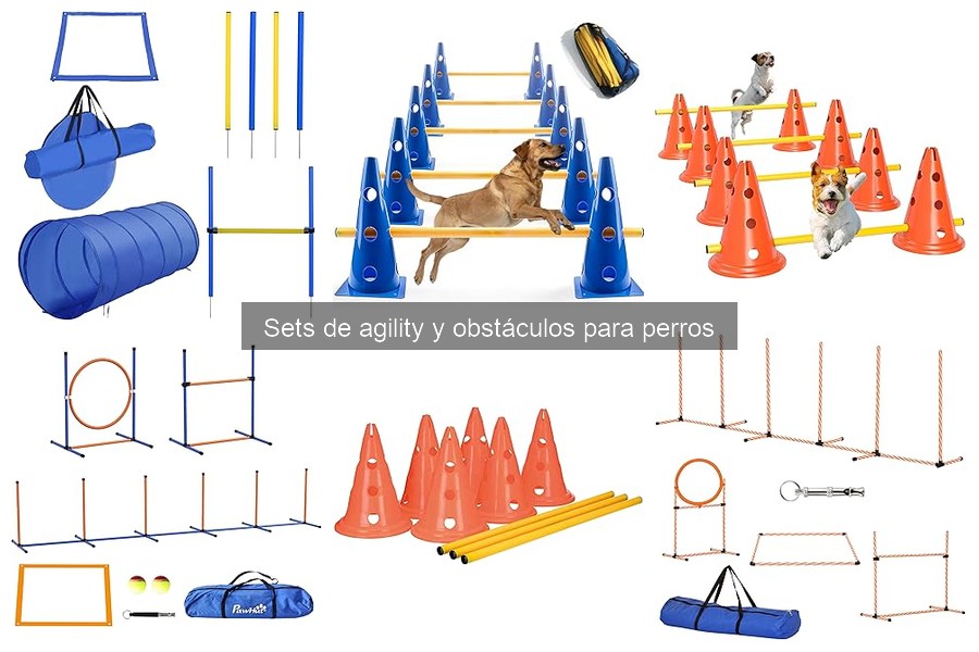 ¿Realmente necesito un set de agility para entrenar a mi perro?