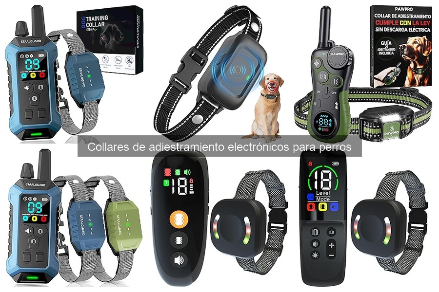 Recomendaciones para Usar Collares de Adiestramiento en Cachorros