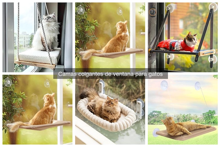 Reseñas de camas colgantes de ventana para gatos: opiniones