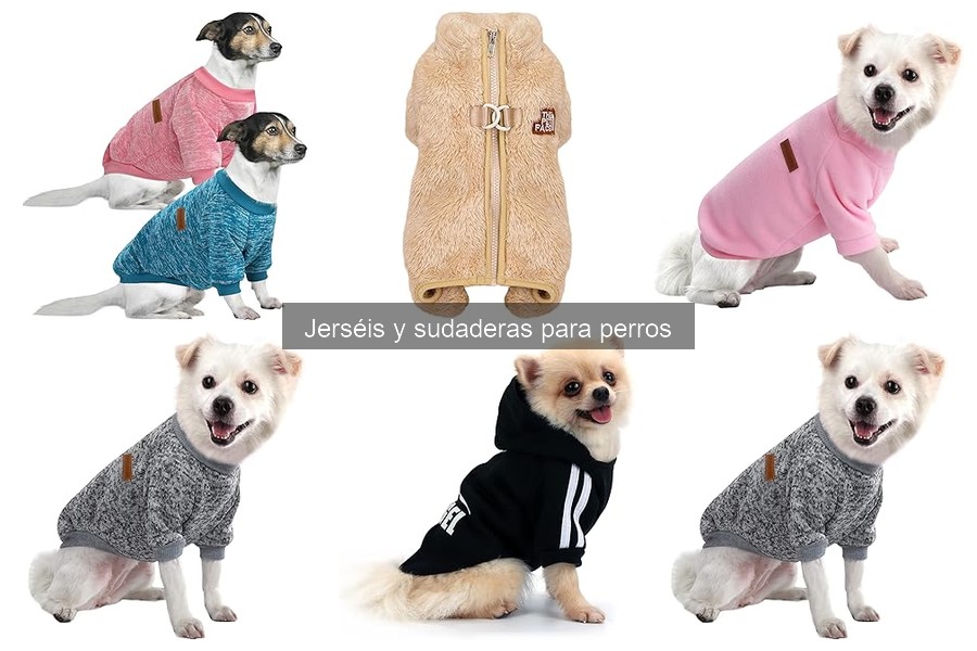 Reseñas de Jerséis y Sudaderas para Perros: Mejores Marcas
