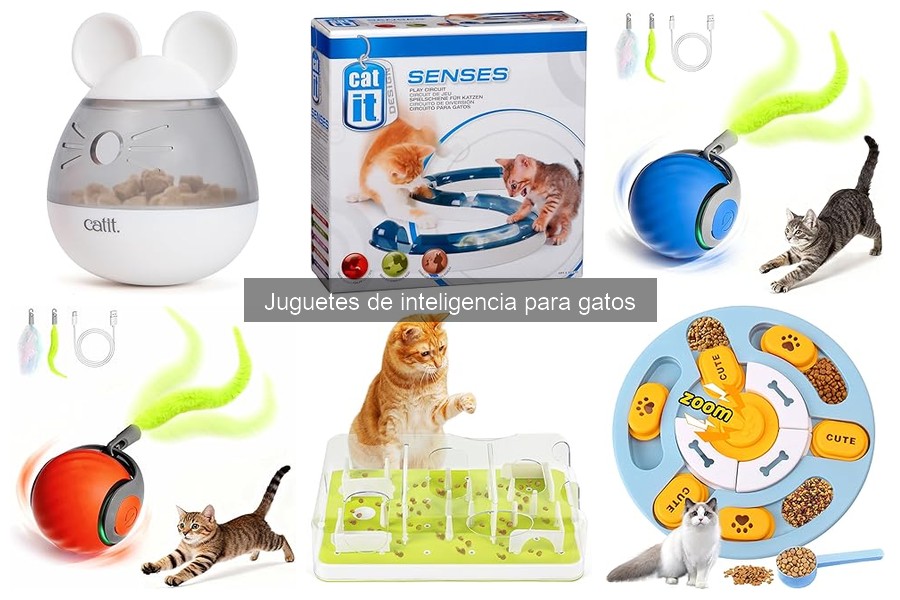 Reseñas de juguetes de inteligencia para gatos