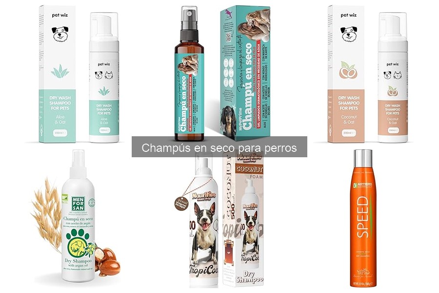 Reseñas de los Mejores Champús en Seco para Perros en 2023
