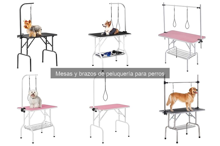 Reseñas de Mesas de Peluquería para Perros: Marcas Destacadas