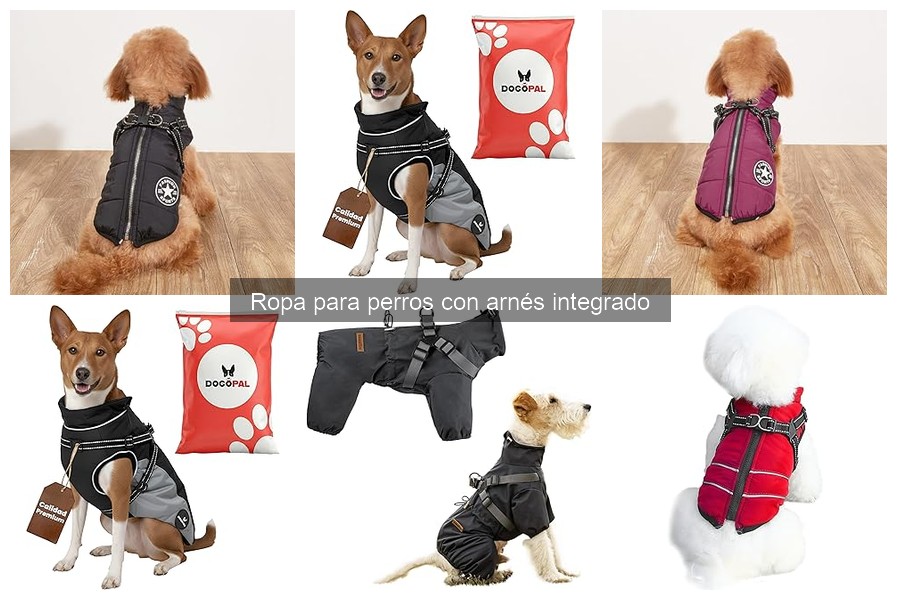 Ropa con Arnés Integrado vs. Ropa Convencional para Perros