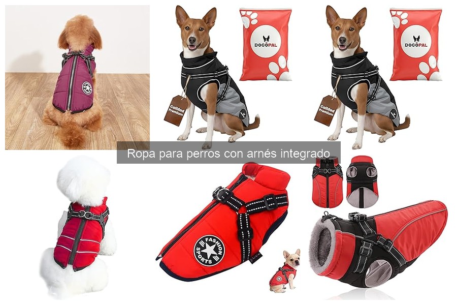 Ropa para perros con arnés integrado: ¿Qué es y cómo funciona?