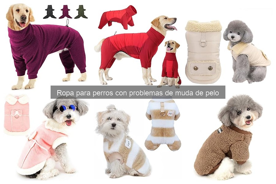 Ropa para perros: Mejores opciones para controlar la muda de pelo