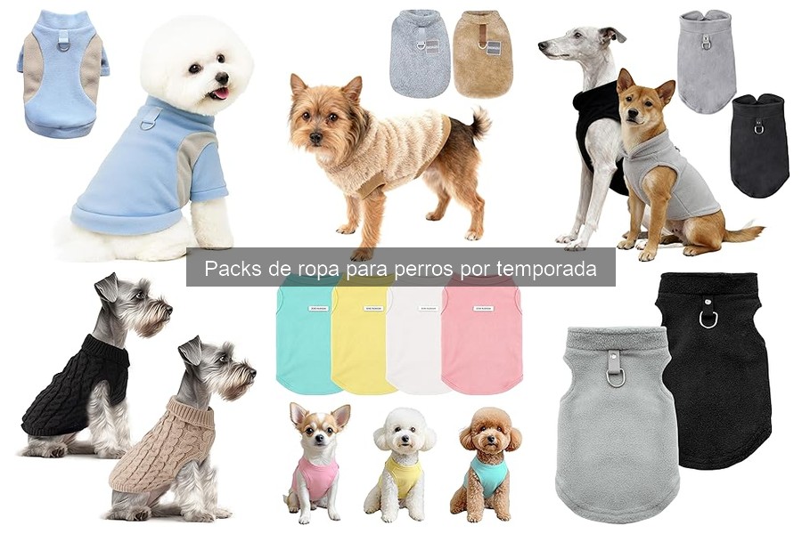 Ropa para perros: opciones por temporada para cada clima