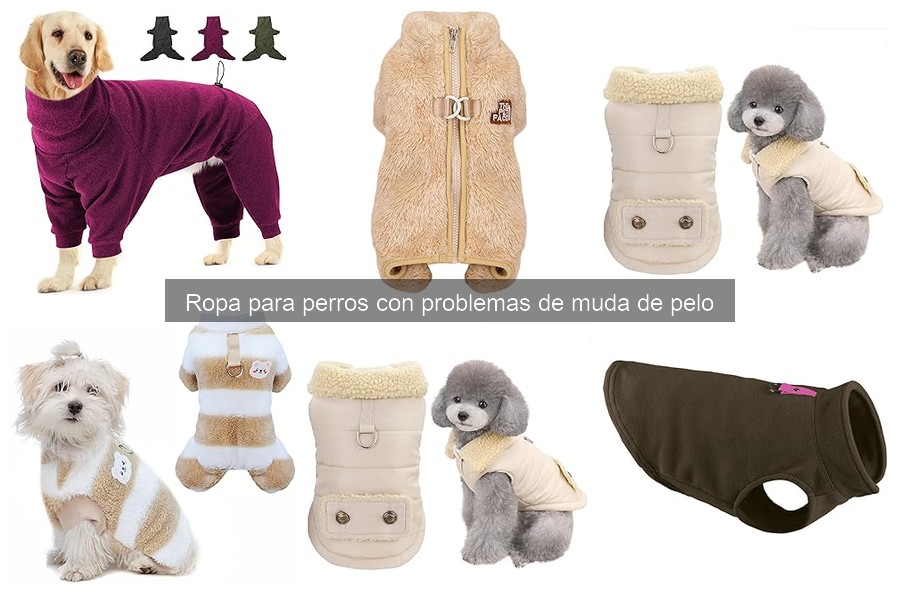 Ropa para perros que controlan alergias al pelo