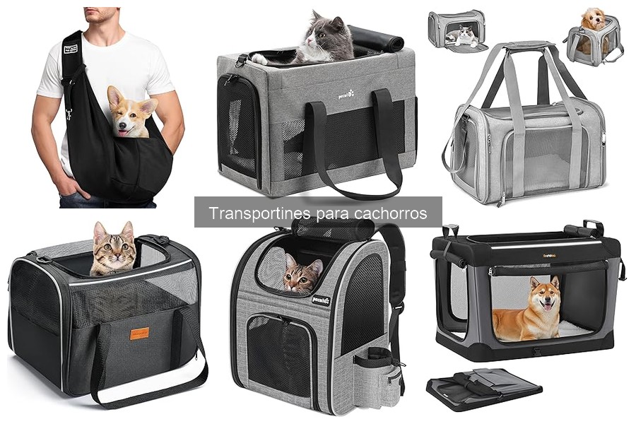 Seguridad en transportines de cachorros para viajar en coche
