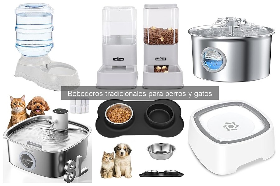 Señales de que el bebedero tradicional no es adecuado para tu mascota