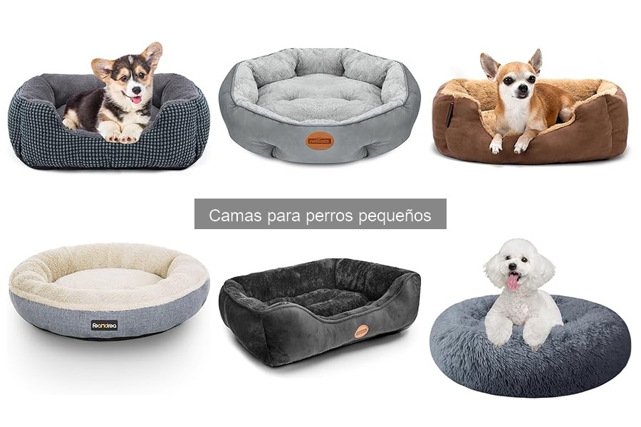 Señales de que la cama del perro pequeño debe cambiarse