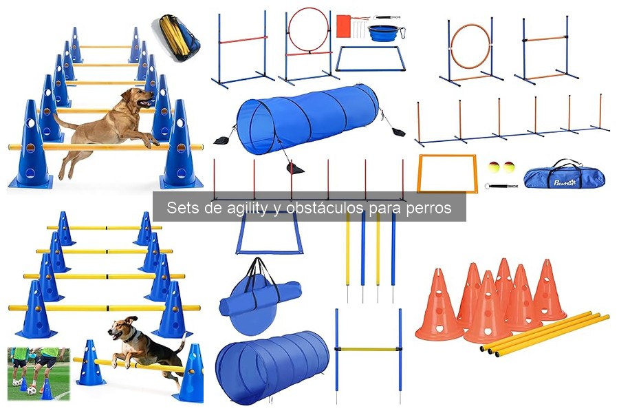 Sets de Agility Portátiles para Perros: ¿Cuáles Son?