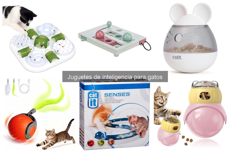 ¿Son adecuados los juguetes de inteligencia para todos los gatos?