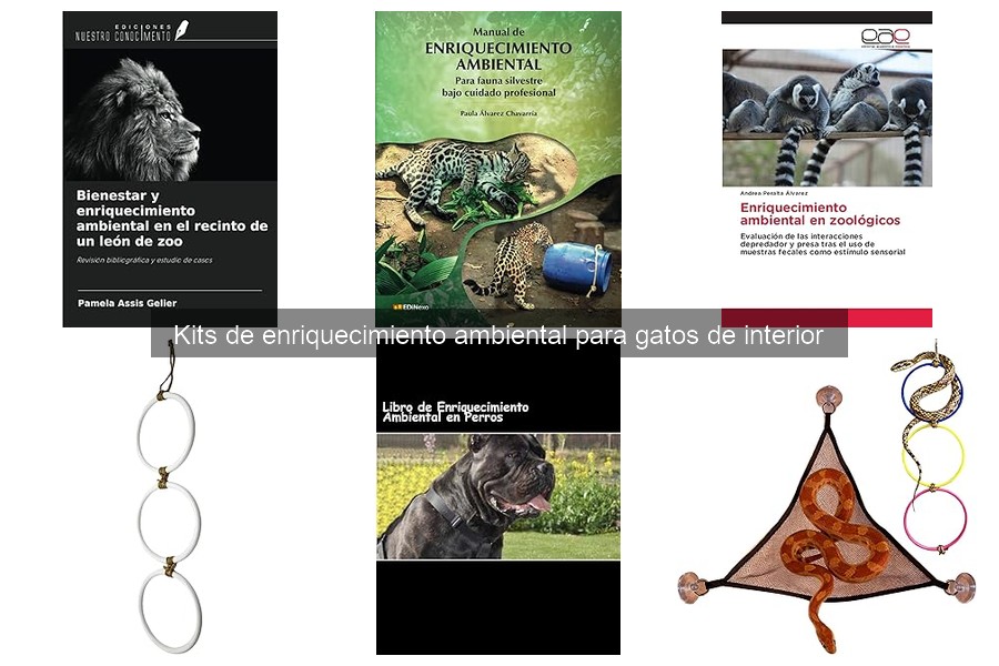 ¿Son necesarios los kits de enriquecimiento ambiental para gatos?