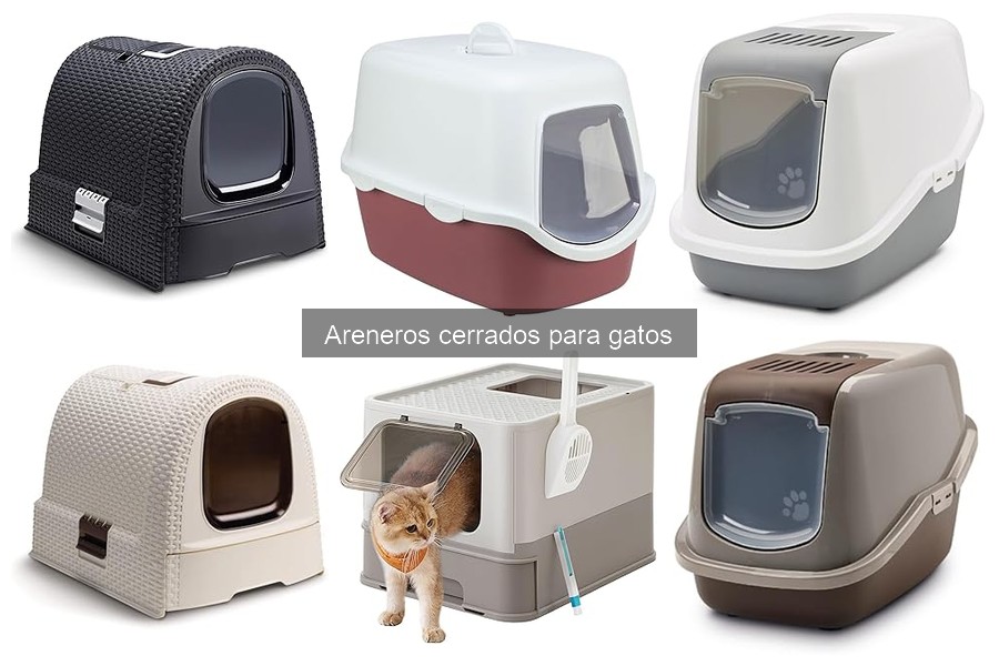 ¿Son perjudiciales los areneros cerrados para la salud del gato?