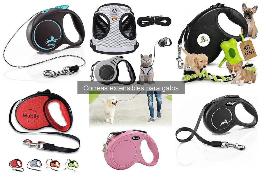 ¿Son seguras las correas extensibles para gatos?