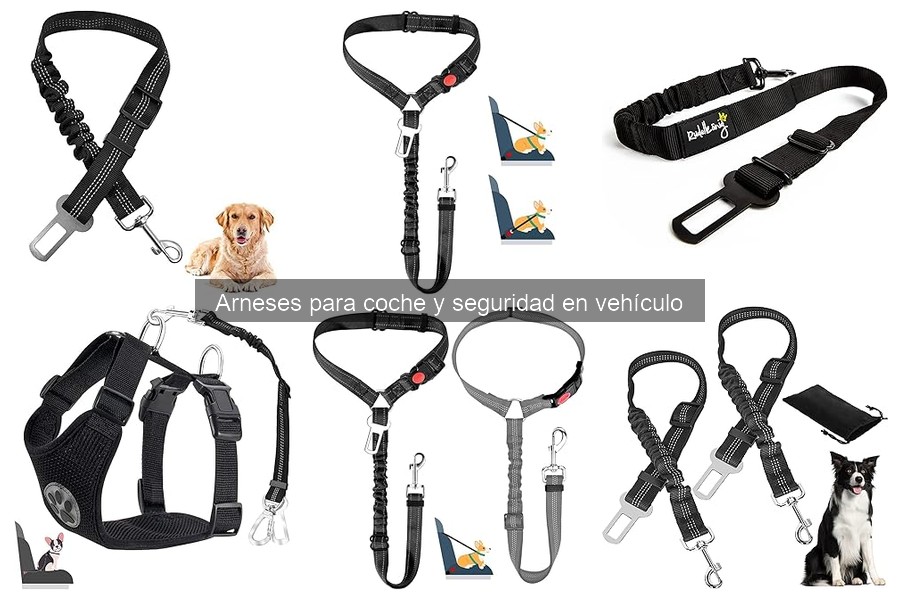 ¿Son seguros los arneses de coche para perros grandes?