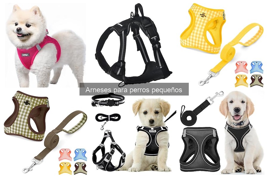¿Son seguros los arneses para perros pequeños? Todo lo que debes saber