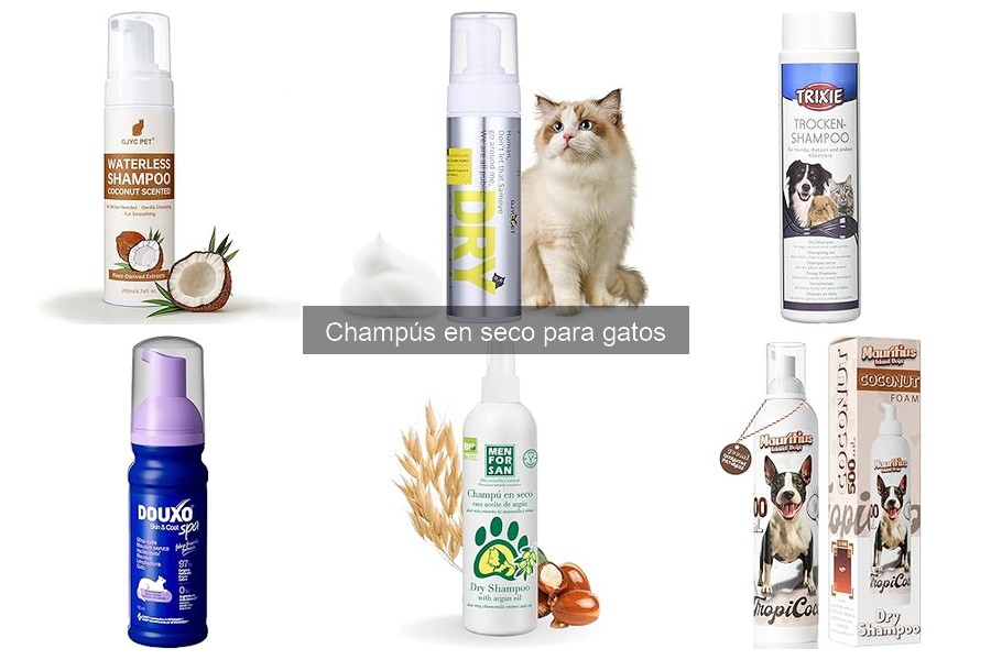 ¿Son seguros los champús en seco para gatos? Descúbrelo aquí