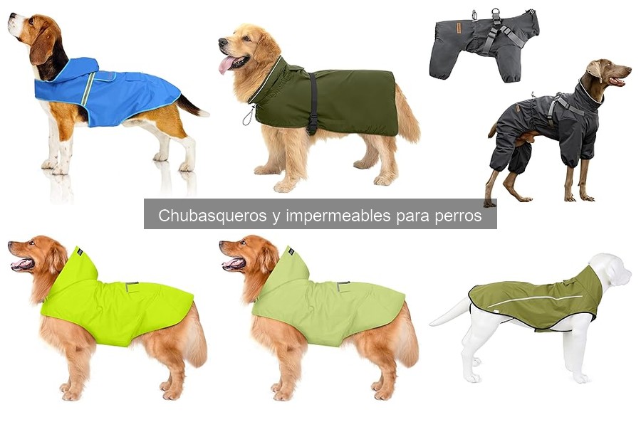 ¿Son seguros los chubasqueros para perros? Guía completa