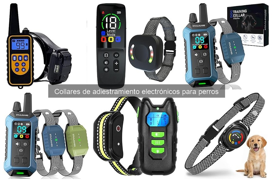 ¿Son seguros los collares de adiestramiento electrónicos para perros?