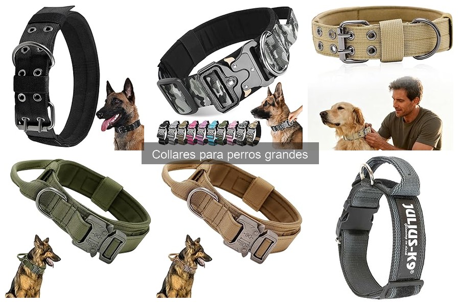 ¿Son seguros los collares de estrangulamiento para perros grandes?