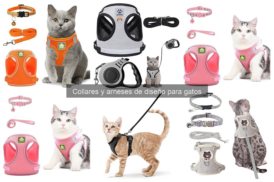 ¿Son seguros los collares y arneses de diseño para gatos?
