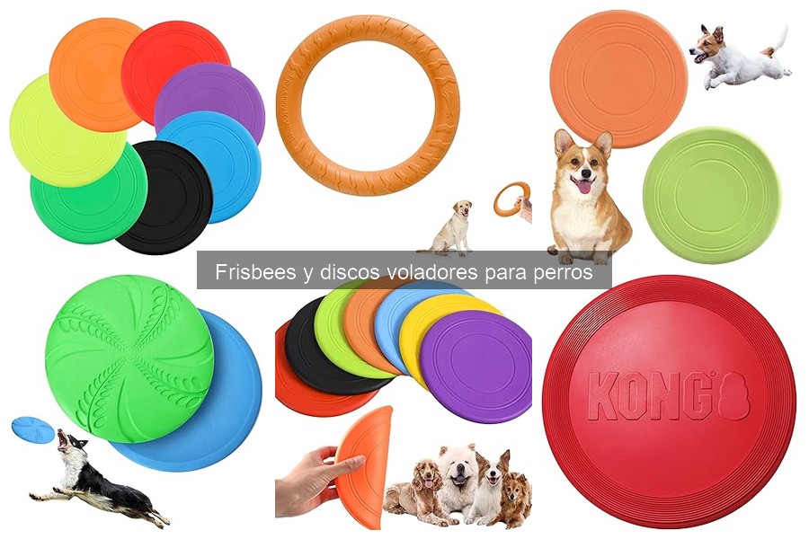 ¿Son seguros los frisbees para perros? Riesgos y consejos